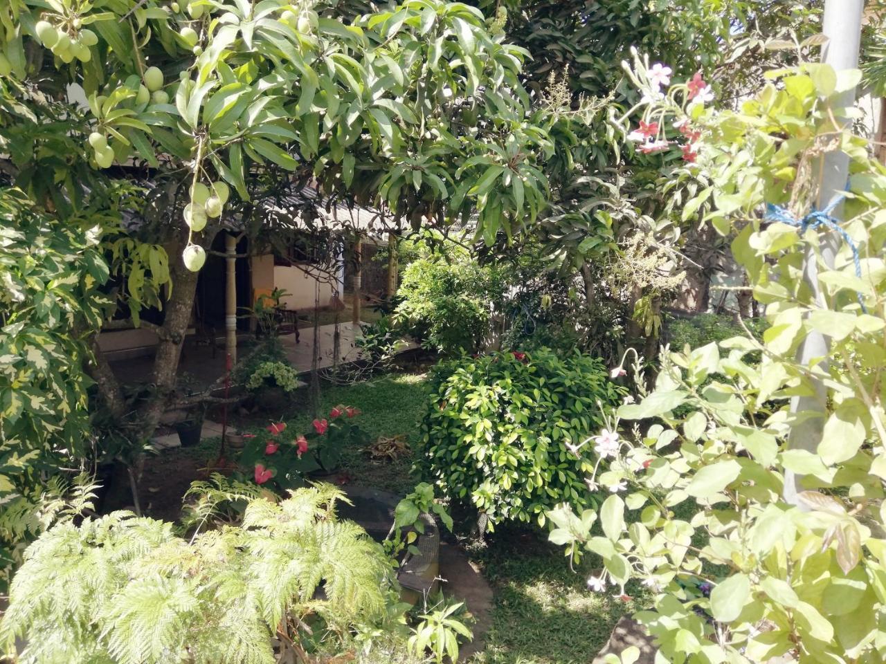 Nisadi Villa ベントータ エクステリア 写真