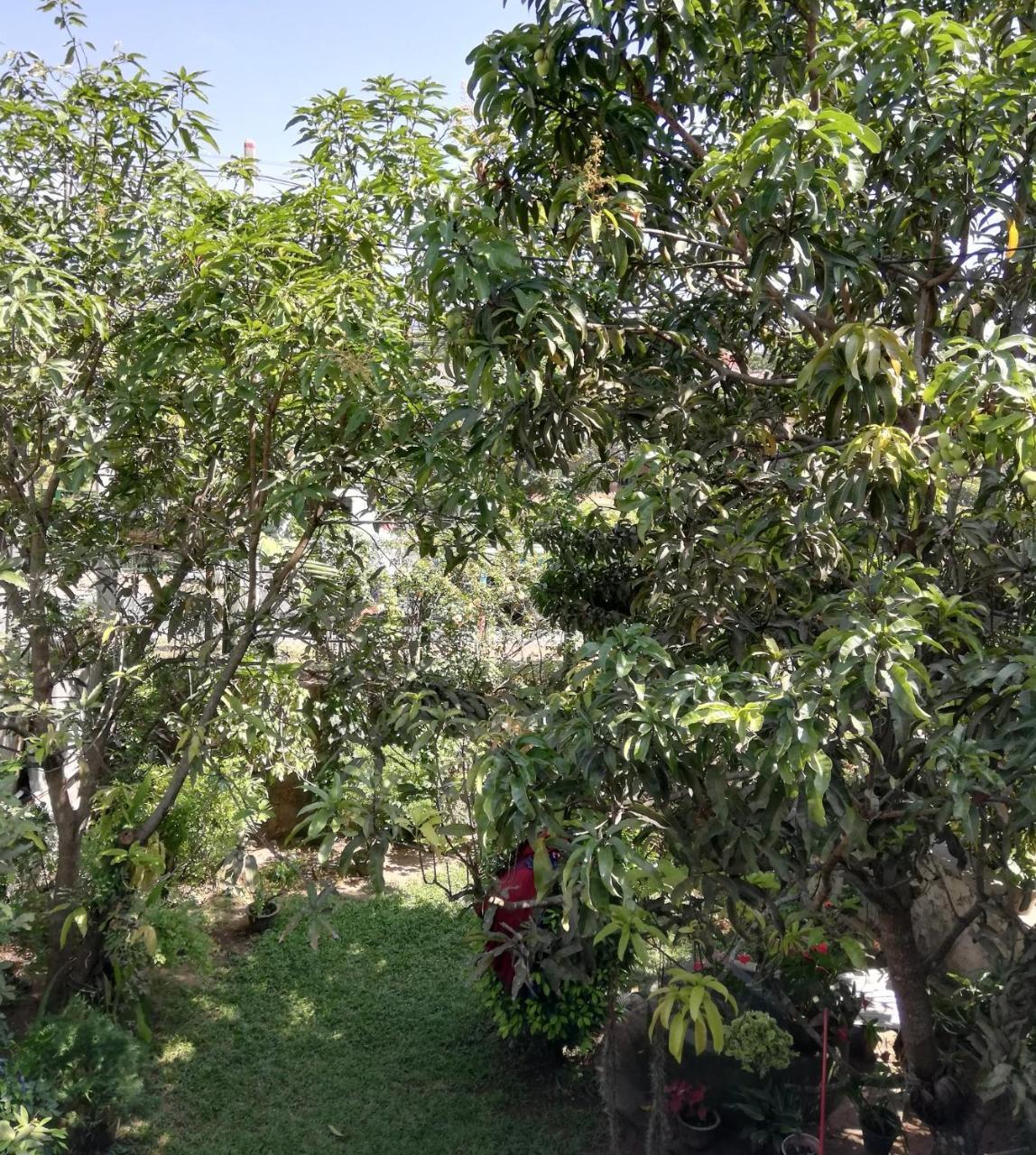 Nisadi Villa ベントータ エクステリア 写真